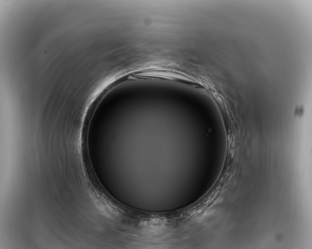 X0000099520196200805221450