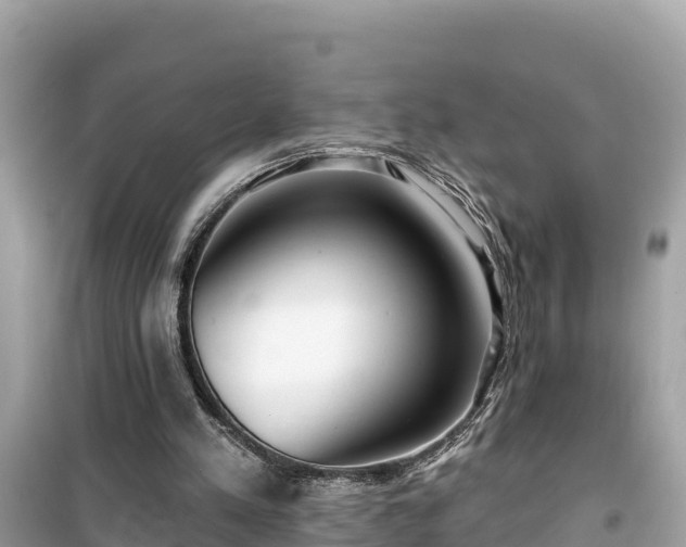 X0000099520197200805221450