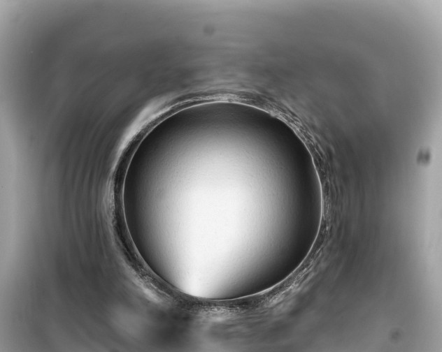 X0000099520198200805221450