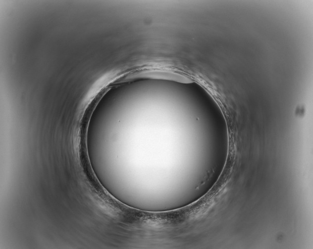 X0000099520199200805221450