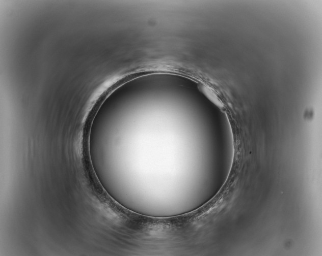 X0000099520200200805221450