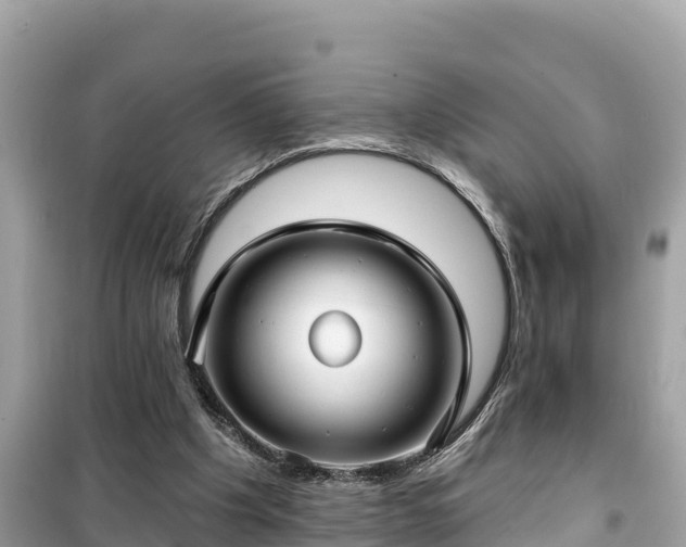 X0000099520201200805221450