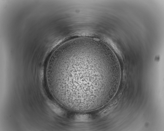 X0000099520202200805221450