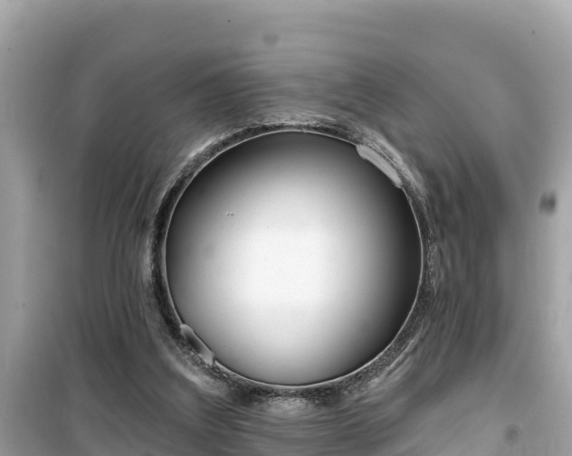 X0000099520203200805221450