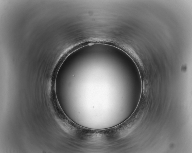 X0000099520204200805221450