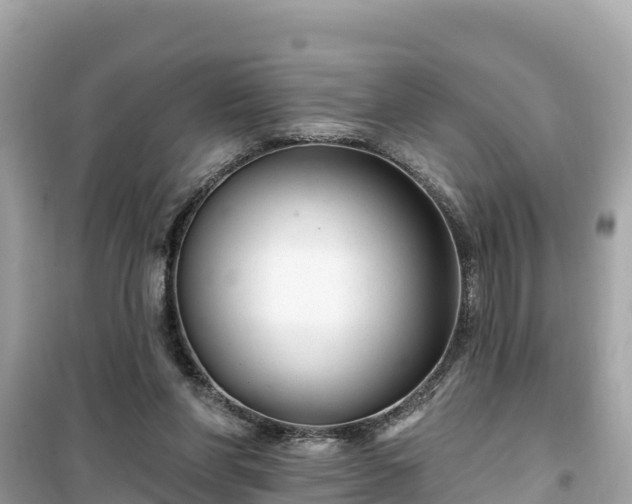 X0000099520206200805221450
