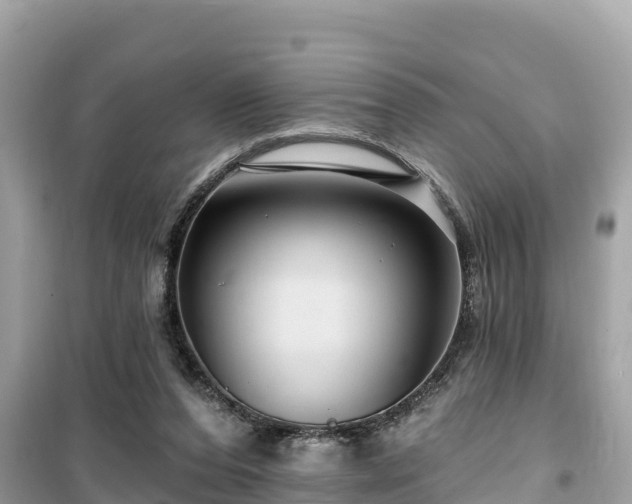 X0000099520208200805221450
