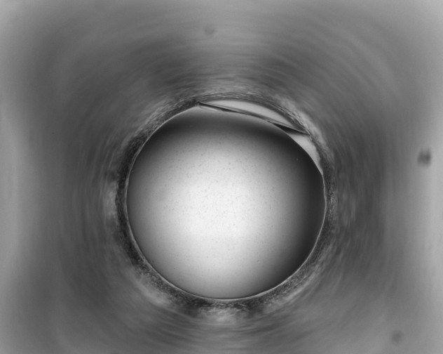 X0000099520209200805221450