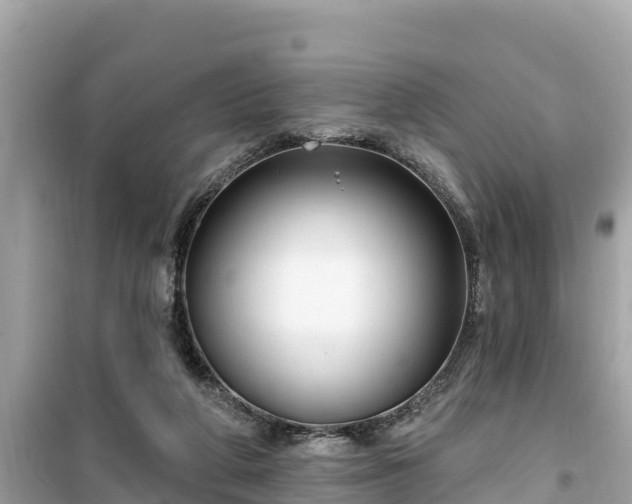 X0000099520210200805221450
