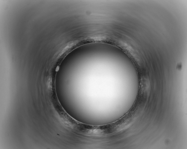X0000099520212200805221450