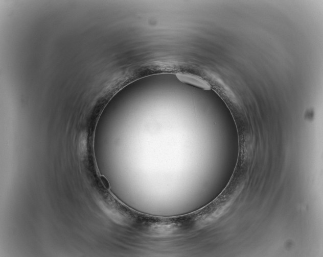 X0000099520213200805221450