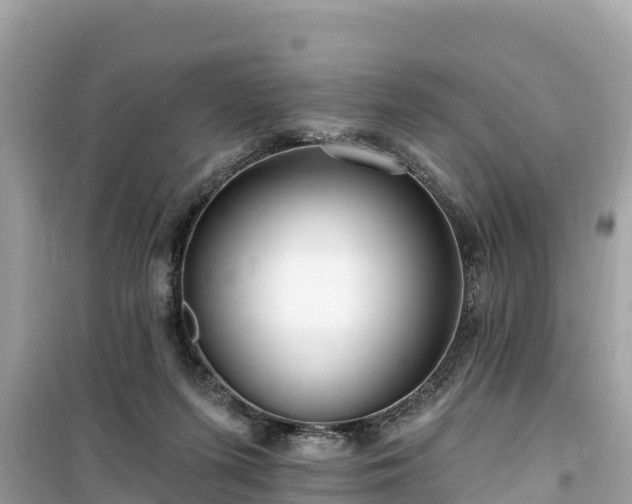 X0000099520215200805221450