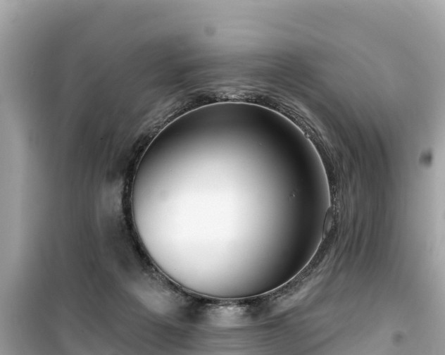 X0000099520217200805221450