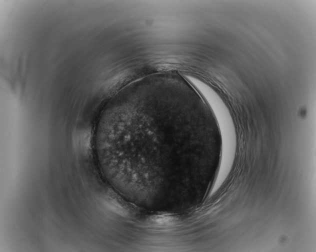 X0000099520219200805221450