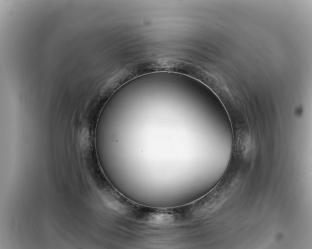 X0000099520220200805221450