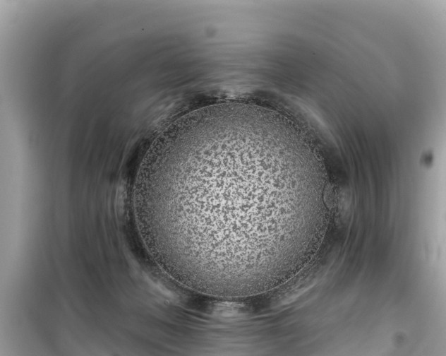 X0000099520222200805221450