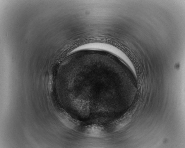 X0000099520223200805221450
