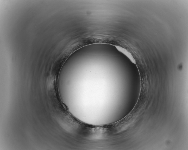 X0000099520225200805221450