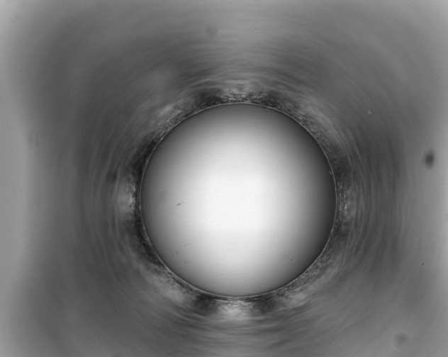 X0000099520226200805221450