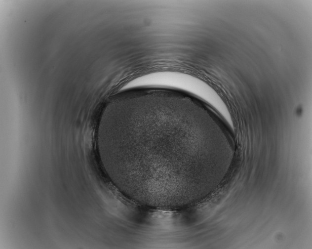 X0000099520227200805221450