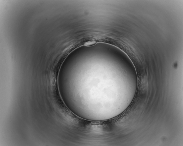 X0000099520228200805221450