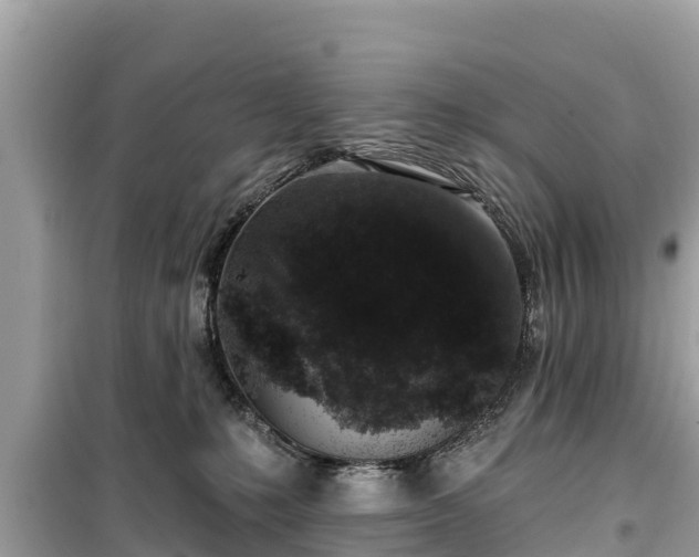X0000099520231200805221450