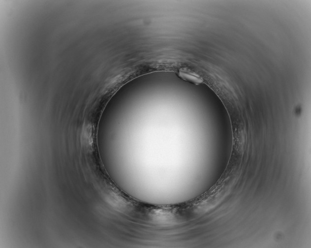 X0000099520232200805221450
