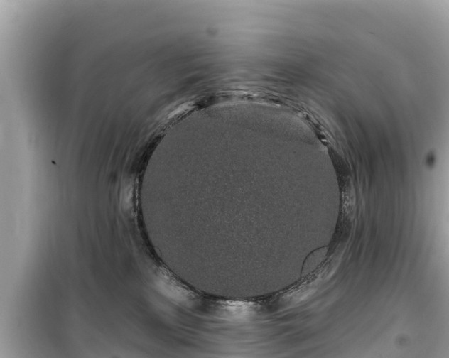 X0000099520233200805221450
