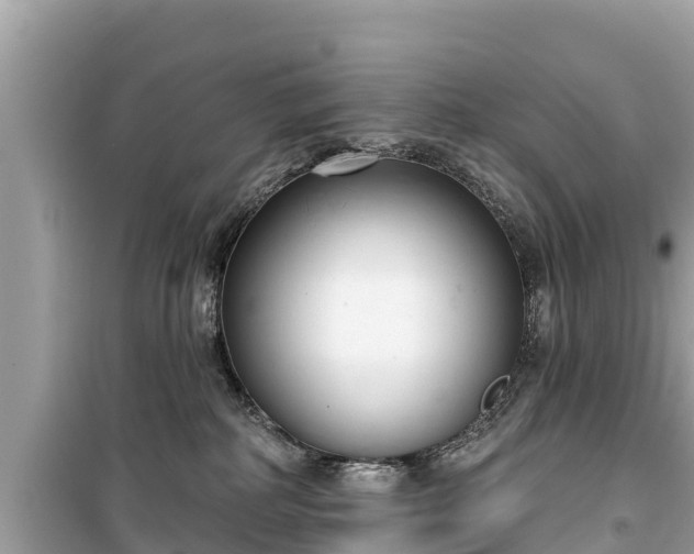 X0000099520234200805221450