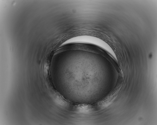 X0000099520235200805221450