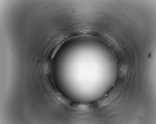 X0000099520236200805221450