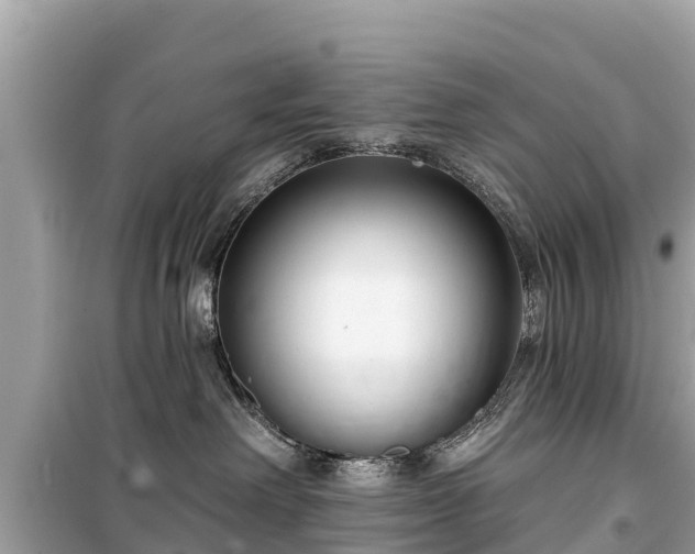 X0000099520238200805221450