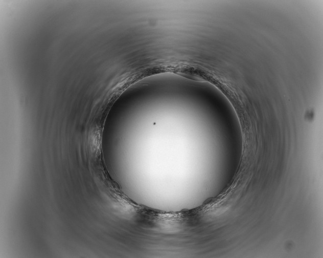 X0000099520240200805221450