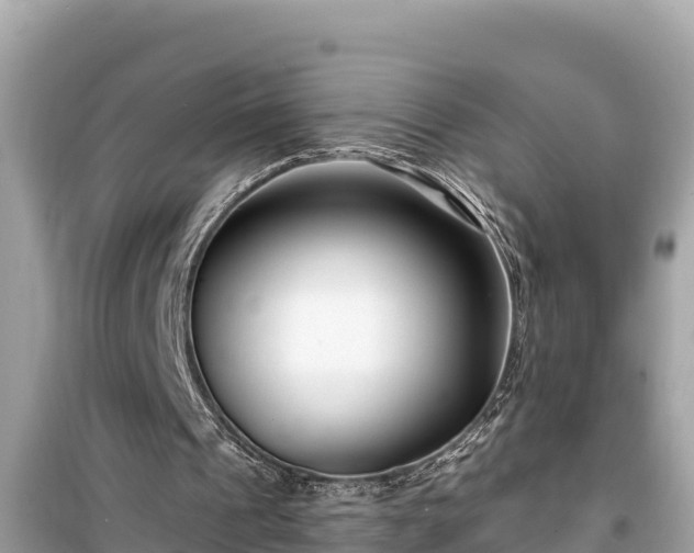X0000099520241200805221449