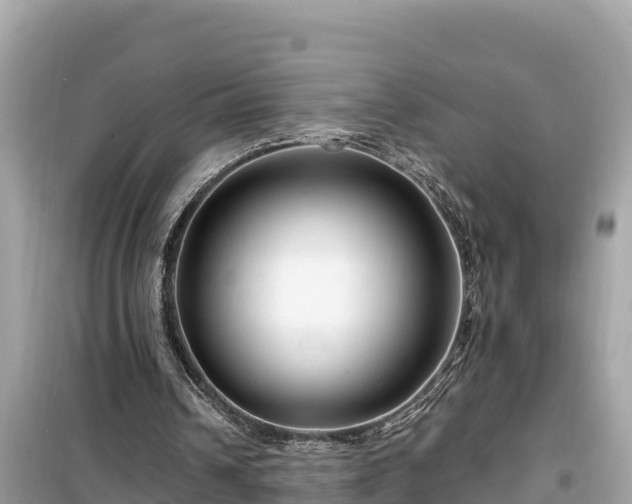 X0000099520242200805221449