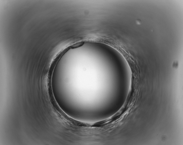 X0000099520244200805221449