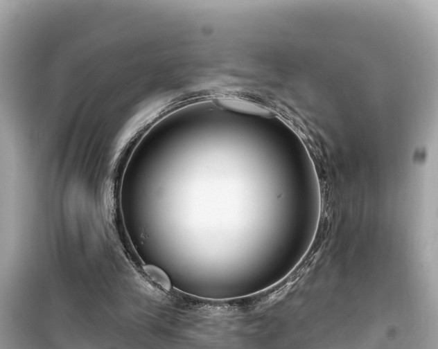 X0000099520245200805221449