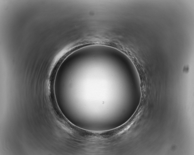 X0000099520246200805221449