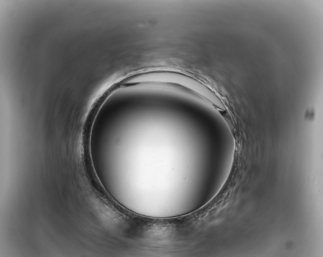 X0000099520248200805221449