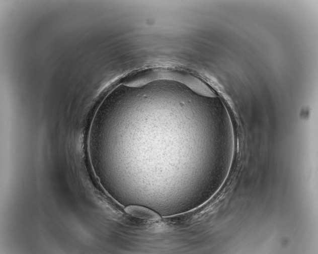 X0000099520249200805221449