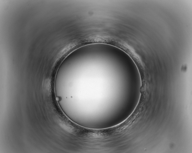 X0000099520250200805221449
