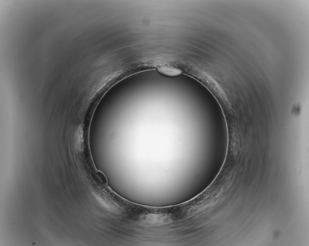 X0000099520251200805221449