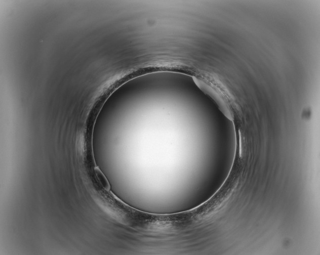 X0000099520252200805221449