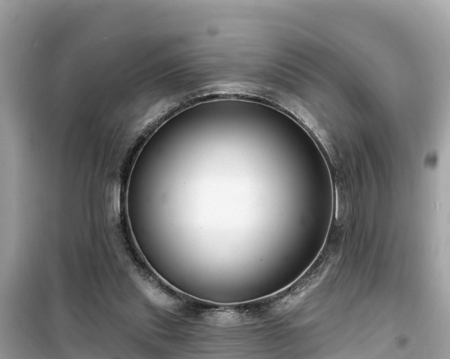 X0000099520253200805221449