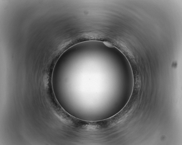 X0000099520255200805221449