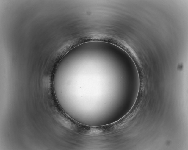 X0000099520257200805221449