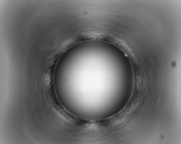 X0000099520259200805221449