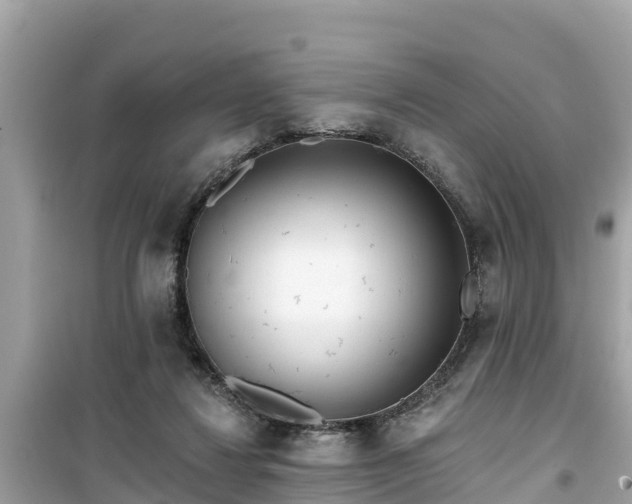 X0000099520260200805221449