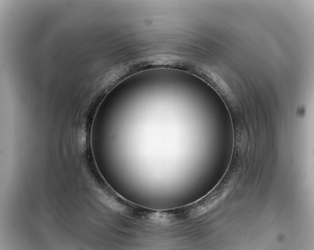 X0000099520261200805221449