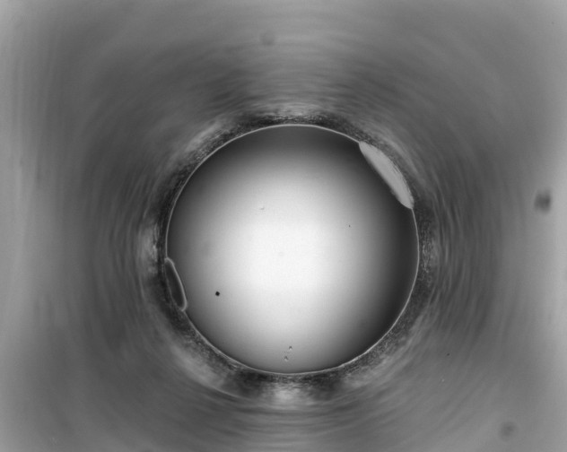 X0000099520264200805221449